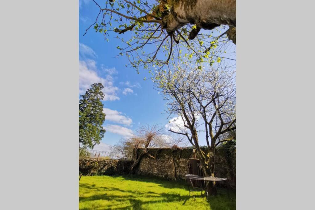Amalouyse Studio De Charme Au Coeur Des Chateaux De Loire Montlouis-sur-Loire Exteriér fotografie